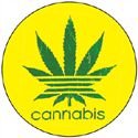cannabis